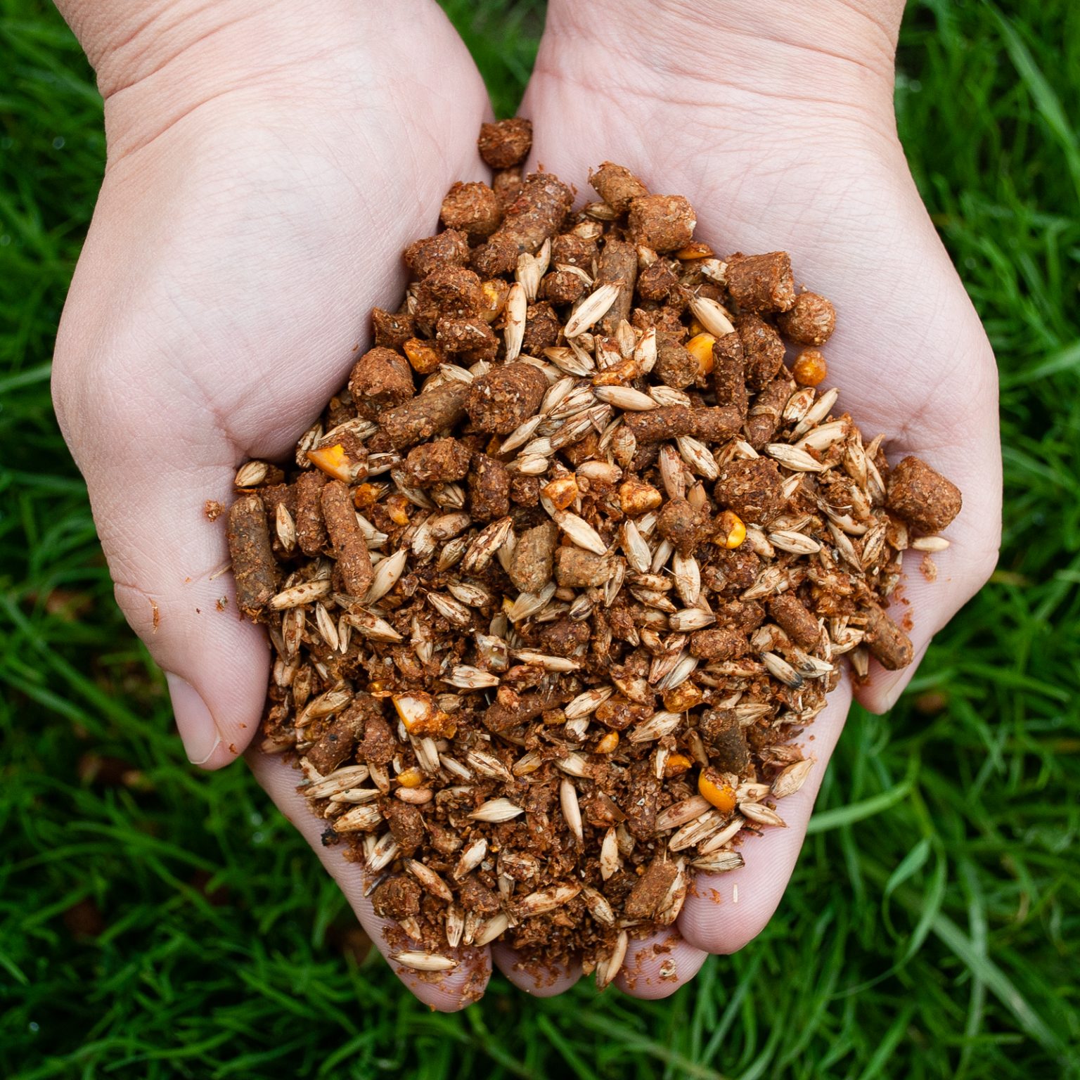 Amber Grains Classic 126 Textured Coker Feed Mill