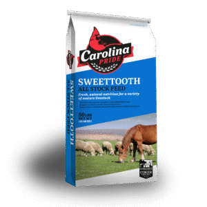 Carolina Pride Sweettooth