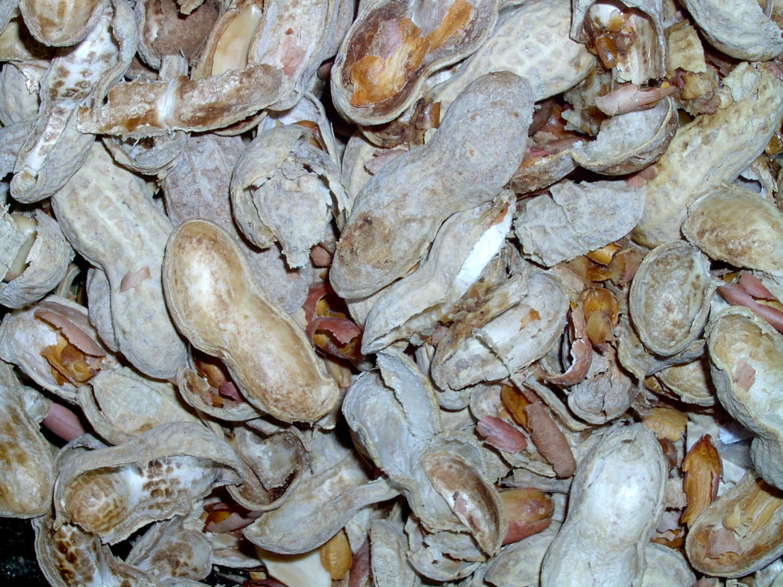 Five Reasons You Should Throw a Fit When You See This Ingredient in