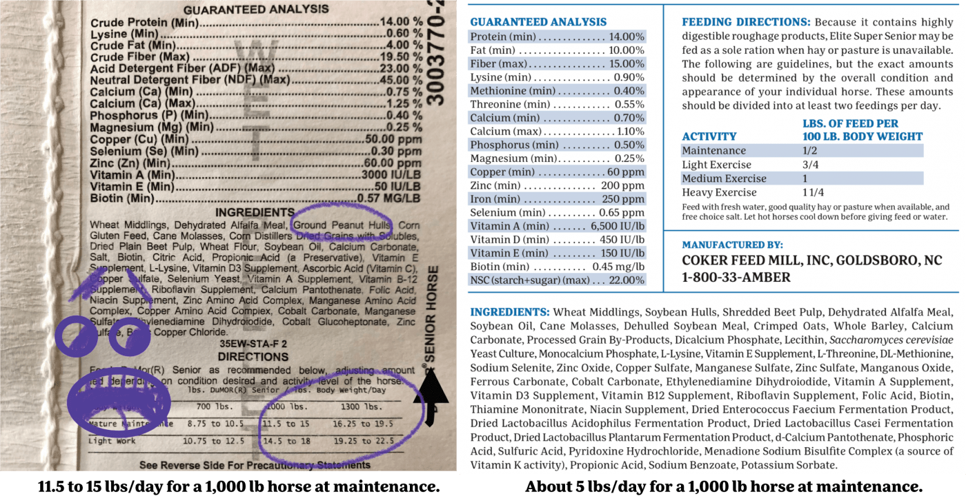 Peanut Hay - Equine Nutrition Analysis