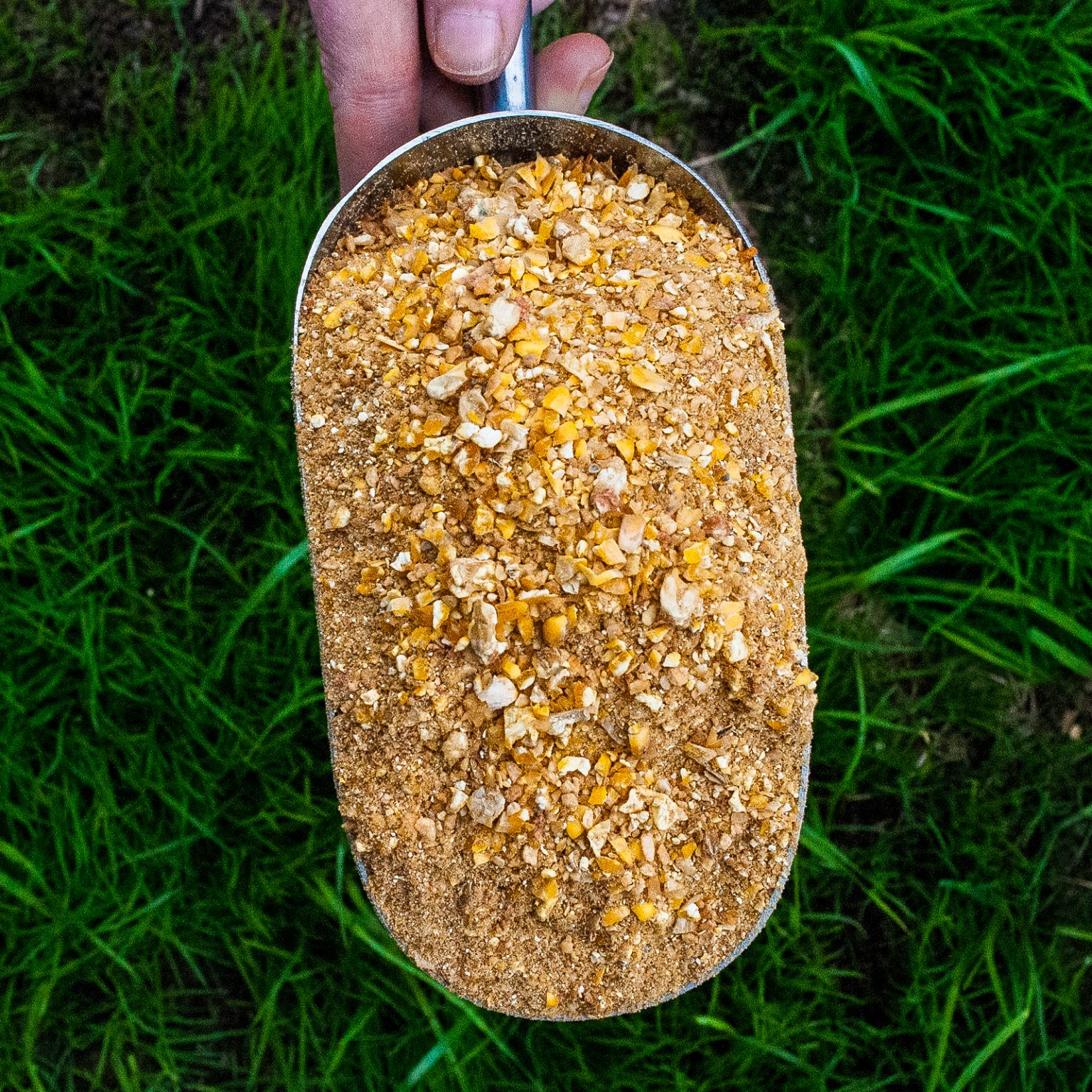 Poultry and Game Bird Coker Feed Mill